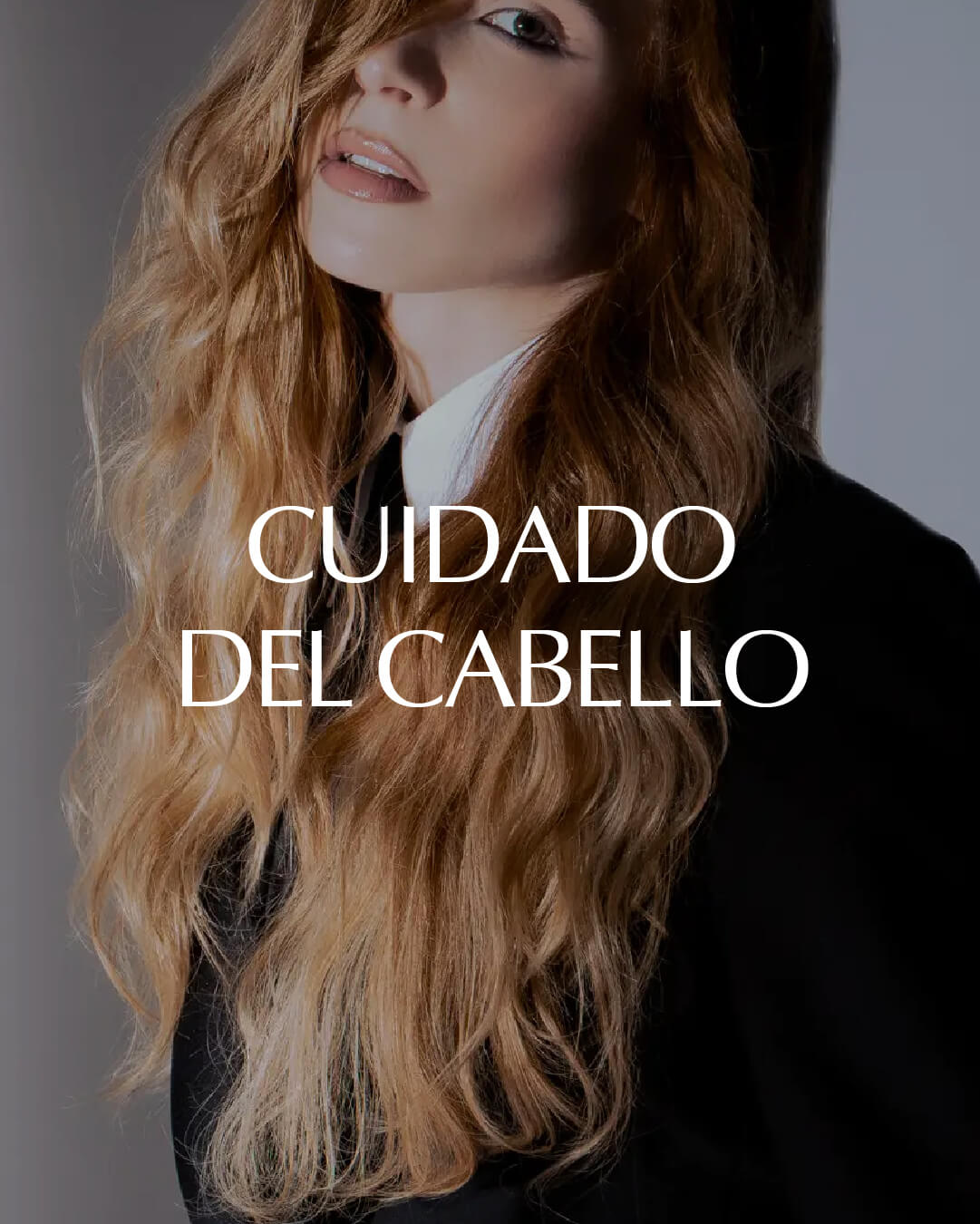 PHILIP MARTIN´S Cuidado del cabello