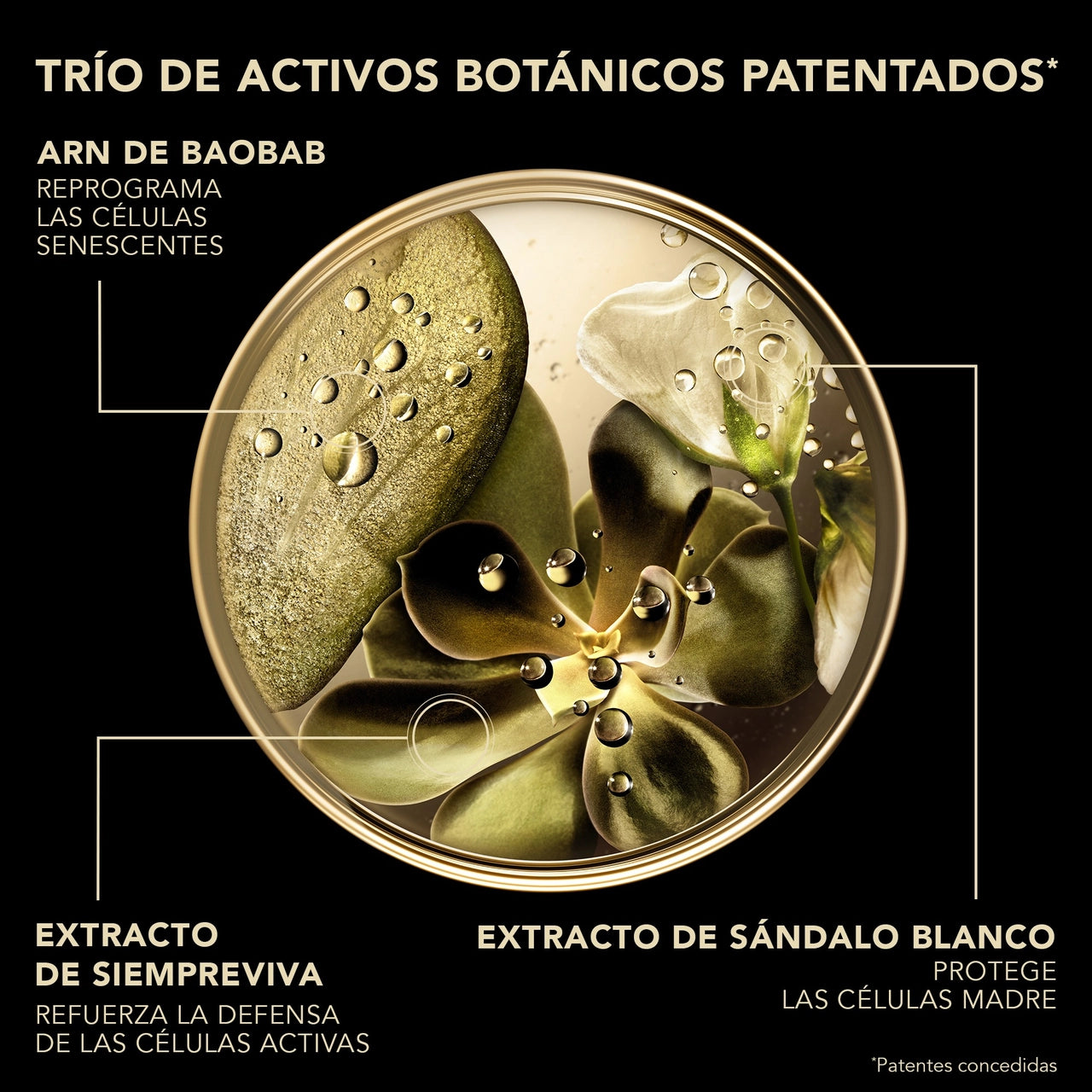 LIERAC Premium Voluptuosa: Crema antiedad rica con sensación envolvente; mejora tonicidad, suaviza arrugas y realza la luminosidad.