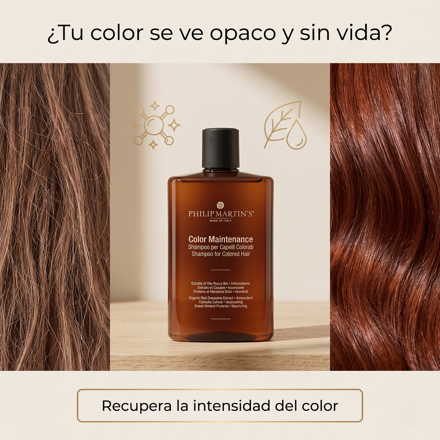 PHILIP MARTIN'S Color Maintenance Shampoo | Shampoo para Cabello Teñido, Shampoo Profesional Protector del Color, Hidratante para Cabello Tratado Químicamente