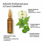Philip Martin's Scalp Nutriment Professional Ampolletas - Tratamiento Anti-Caída Capilar Profesional, Ampollas para Cabello Fino y Debilitado por Estrés (Ortiga Orgánica, Células Madre), 12 Piezas, Made in Italy