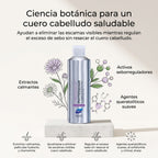 PHYTO PARIS Phytosquame Shampoo Anticaspa para Cabello Graso y Cuero Cabelludo Graso, Purificante y Equilibrante