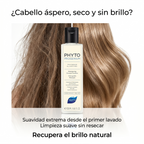 PHYTO PARIS Phytoprogenium Shampoo Hidratante Profesional para Cabello Seco y Sensible | Shampoo Suave de Uso Diario con Base Botánica, Limpieza Equilibrante, Brillo Intenso, Suavidad Extrema y Control de Frizz