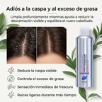 PHYTO PARIS Phytosquame Shampoo Anticaspa para Cabello Graso y Cuero Cabelludo Graso, Purificante y Equilibrante