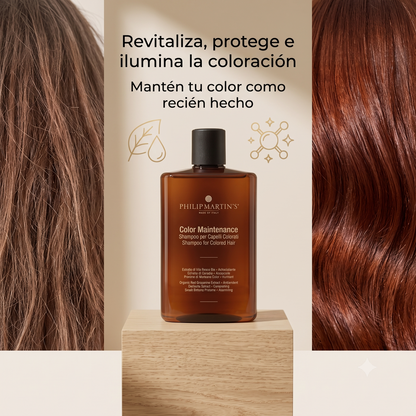 PHILIP MARTIN'S Color Maintenance Shampoo | Shampoo para Cabello Teñido, Shampoo Profesional Protector del Color, Hidratante para Cabello Tratado Químicamente