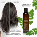 Philip Martin’s Moringa Wash Shampoo Profesional | Purifica y Revitaliza el Cabello