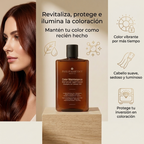 PHILIP MARTIN'S Color Maintenance Shampoo | Shampoo para Cabello Teñido, Shampoo Profesional Protector del Color, Hidratante para Cabello Tratado Químicamente
